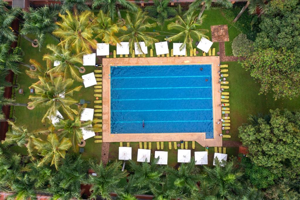 Hotel Image 1762852742