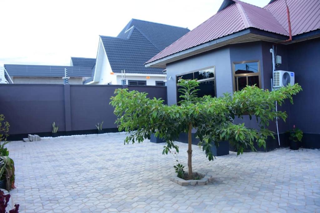 Love House