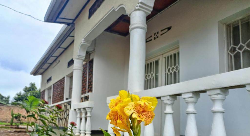 Gallery image 2