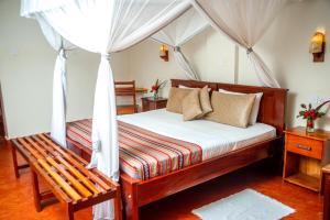 Single Room with Garden View