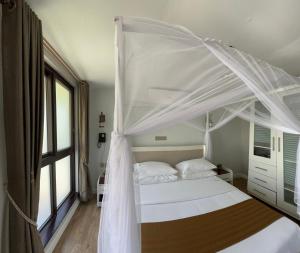 Budget  Double Room