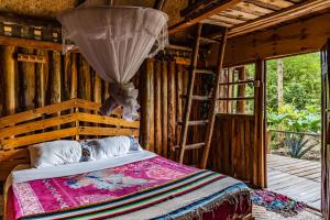 Bed  in 6  Bed Dormitory Room