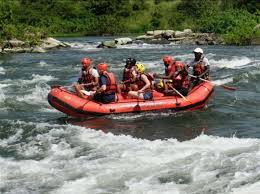 Gollira Tours nd Travel