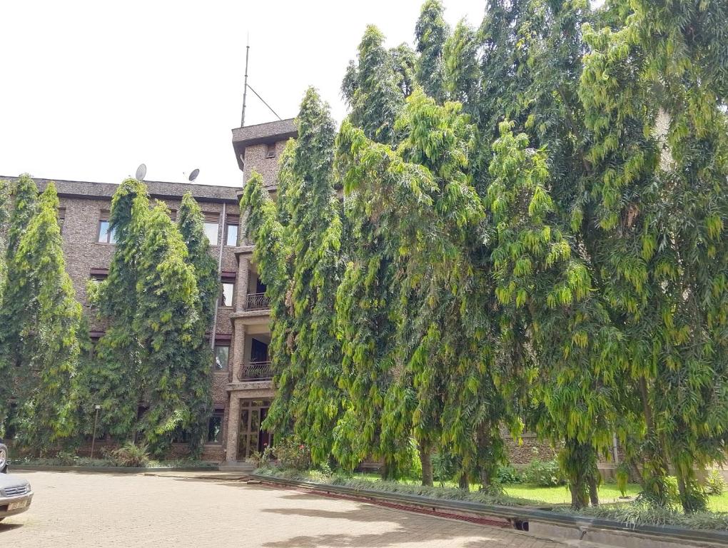 Studio With Pool View
