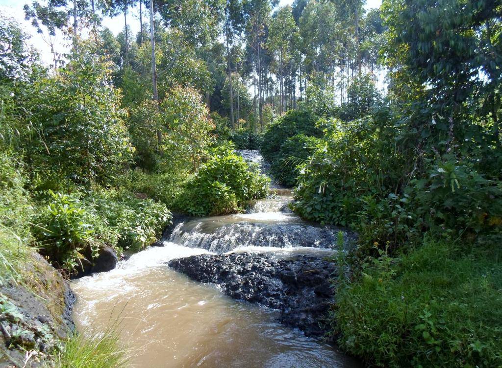 SALEM Eco-Lodge & Guesthouse