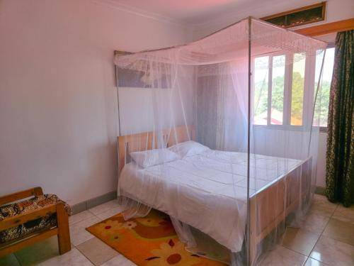 Viola Hotel Limited  